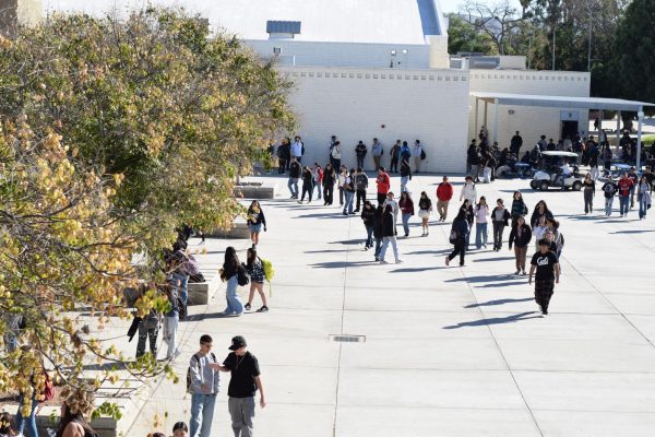 LSHS students rush to class after lunch on a hot Tuesday. Friends are walking together, making sure theyre on time to class.
11/28/23   Photographed and written by: Marilyn Palacios