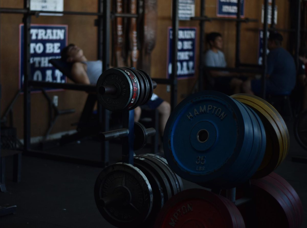 When the Iron Meets the Sweat