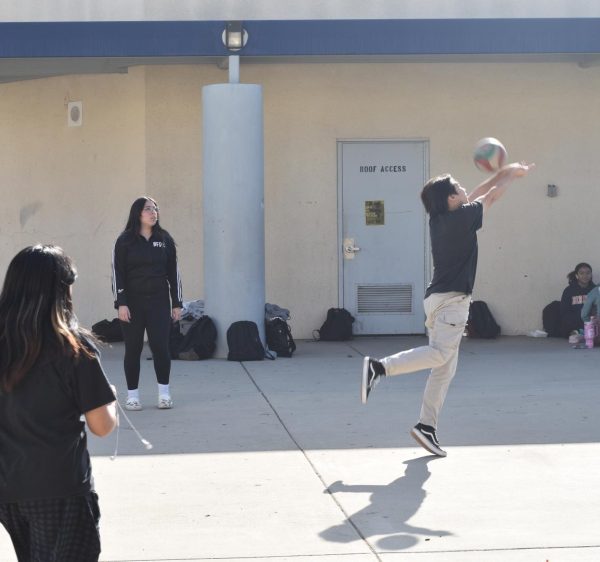 Volleyball During Lunch